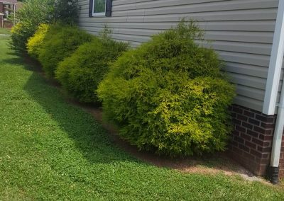 Wrenn's Lawn Service in Hickory, North Carolina - Yard mowing, trimming, mulching, landscaping, yard debris removal, gutter cleaning & routine maintenance.