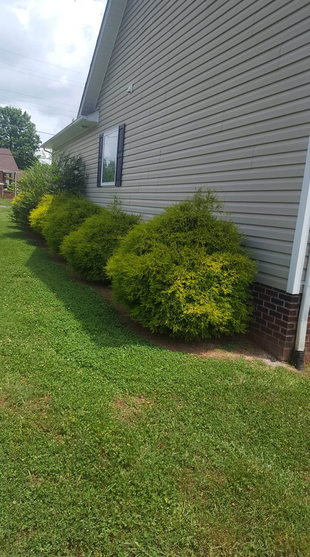 Gallery Wrenn's Lawn Service in Hickory, North Carolina