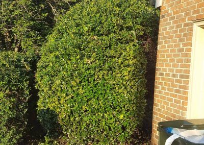 Wrenn's Lawn Service in Hickory, North Carolina - Yard mowing, trimming, mulching, landscaping, yard debris removal, gutter cleaning & routine maintenance.
