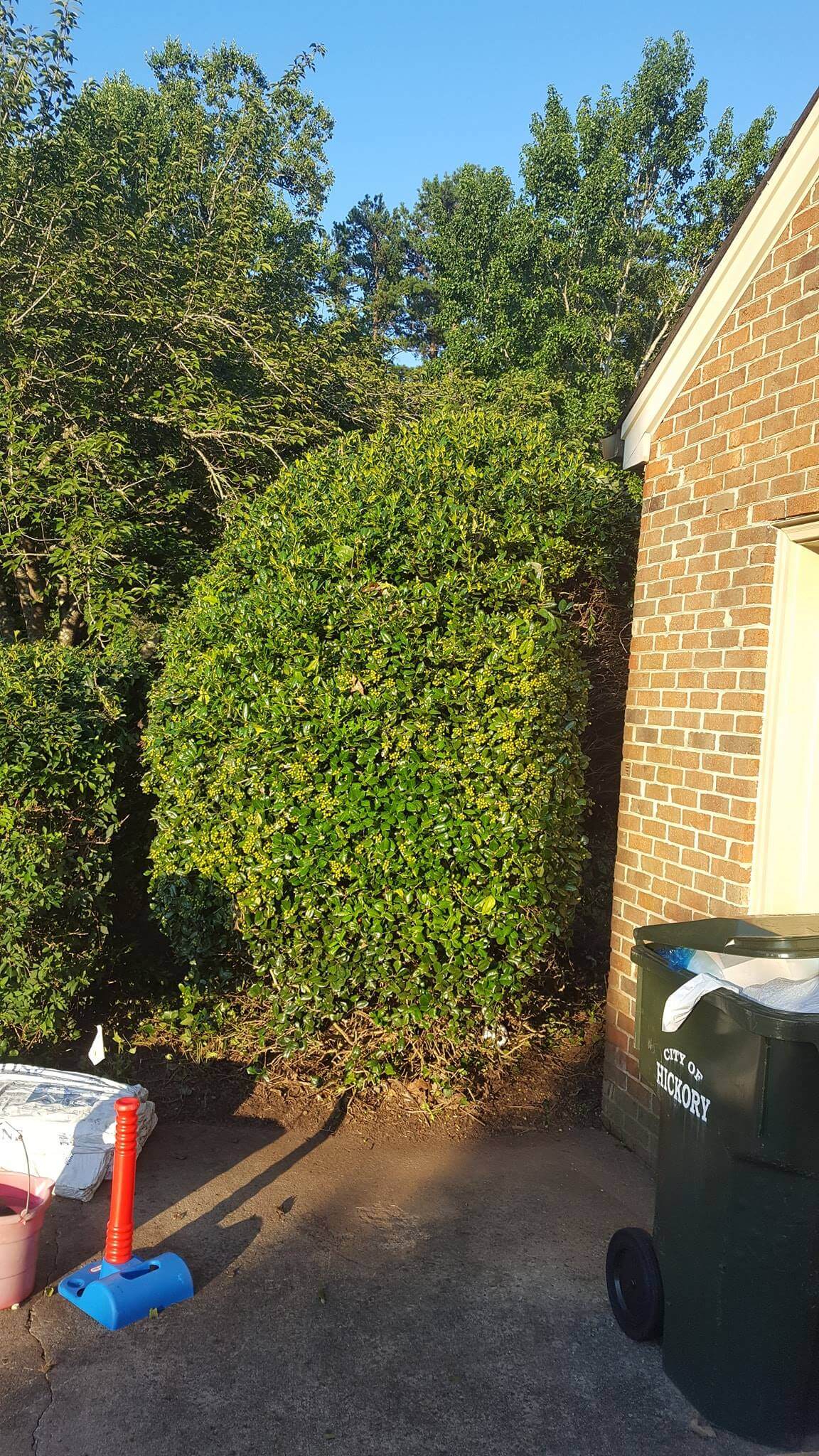 Gallery Wrenn's Lawn Service in Hickory, North Carolina