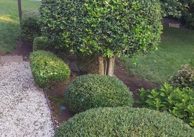 Wrenn's Lawn Service in Hickory, North Carolina - Yard mowing, trimming, mulching, landscaping, yard debris removal, gutter cleaning & routine maintenance.