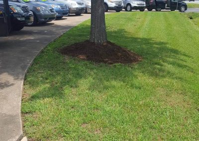 Wrenn's Lawn Service in Hickory North Carolina Commercial Landscaping and Maintenance