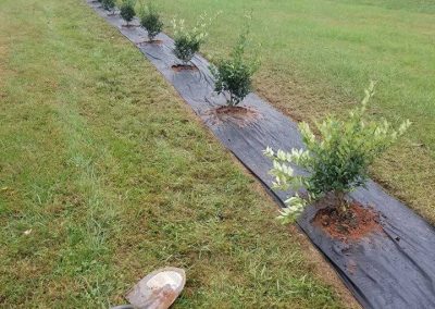 Wrenn's Lawn Service in Hickory, North Carolina - Yard mowing, trimming, mulching, landscaping, yard debris removal, gutter cleaning & routine maintenance.
