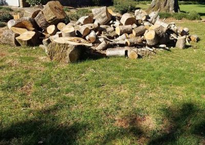 Wrenn's Lawn Service in Hickory, North Carolina - Yard mowing, trimming, mulching, landscaping, yard debris removal, gutter cleaning & routine maintenance.