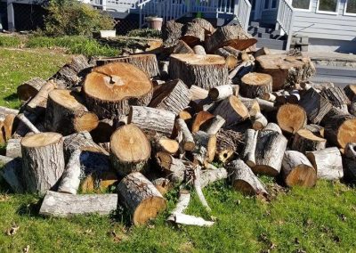 Wrenn's Lawn Service in Hickory, North Carolina - Yard mowing, trimming, mulching, landscaping, yard debris removal, gutter cleaning & routine maintenance.