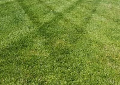Wrenn's Lawn Service in Hickory, North Carolina - Yard mowing, trimming, mulching, landscaping, yard debris removal, gutter cleaning & routine maintenance.