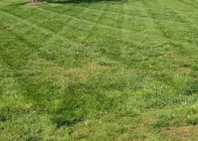 Wrenn's Lawn Service in Hickory, North Carolina - Yard mowing, trimming, mulching, landscaping, yard debris removal, gutter cleaning & routine maintenance.