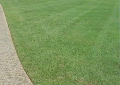 Wrenn's Lawn Service in Hickory, North Carolina - Yard mowing, trimming, mulching, landscaping, yard debris removal, gutter cleaning & routine maintenance.