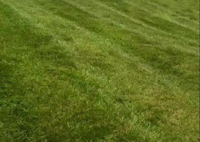 Wrenn's Lawn Service in Hickory North Carolina Commercial Landscaping and Maintenance