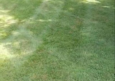 Wrenn's Lawn Service in Hickory, North Carolina - Yard mowing, trimming, mulching, landscaping, yard debris removal, gutter cleaning & routine maintenance.