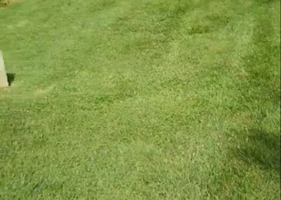 Wrenn's Lawn Service in Hickory, North Carolina - Yard mowing, trimming, mulching, landscaping, yard debris removal, gutter cleaning & routine maintenance.