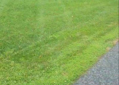Wrenn's Lawn Service in Hickory, North Carolina - Yard mowing, trimming, mulching, landscaping, yard debris removal, gutter cleaning & routine maintenance.