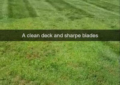 Wrenn's Lawn Service in Hickory, North Carolina - Yard mowing, trimming, mulching, landscaping, yard debris removal, gutter cleaning & routine maintenance.