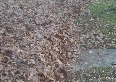 Wrenn's Lawn Service in Hickory, North Carolina - Yard mowing, trimming, mulching, landscaping, yard debris removal, gutter cleaning & routine maintenance.