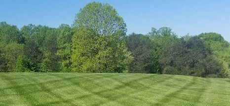 Wrenn's Lawn Service in Hickory, North Carolina - Yard mowing, trimming, mulching, landscaping, yard debris removal, gutter cleaning & routine maintenance.